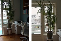 Onder bod: J.A. Reinckenstraat 9, 7412 DT Deventer