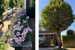 Onder bod: J.A. Reinckenstraat 9, 7412 DT Deventer