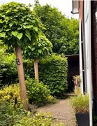 Nieuw in verkoop: Molenbelt 63, 7413 XG Deventer