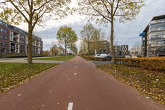 Straatbeeld 6 Ansjovislaan 228 Bergen op Zoom.jpeg