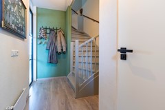 Hal_1 Zwemkrab 14.jpeg