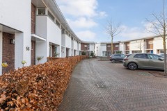 Straatbeeld_2 Zwemkrab 14.jpeg