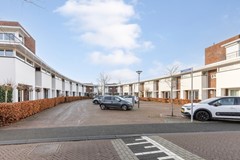 Straatbeeld_3 Zwemkrab 14.jpeg