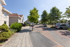straatbeeld (1).jpg