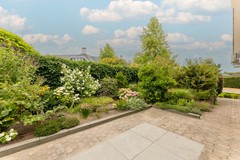 achtertuin (2).jpeg