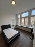 WhatsApp Image 2025-09-04 at 16.18.40 (2).jpeg