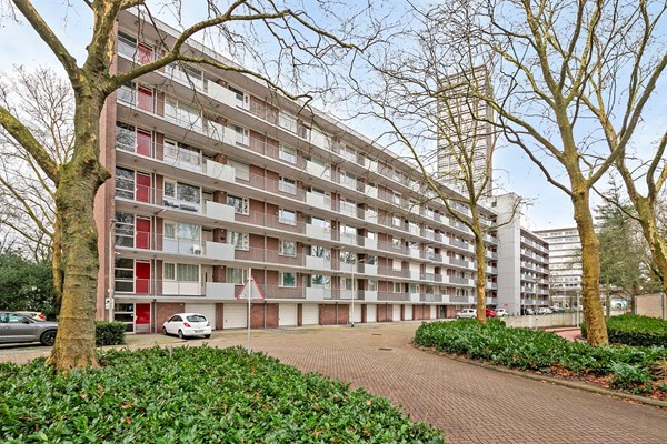 Cederstraat 79, 5037 JC Tilburg