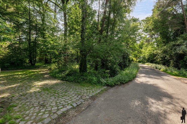 Medium property photo - Tulpenlaan 10, 2470 Retie