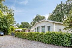 Kievit124785111HDBaarleNassau-03.jpg