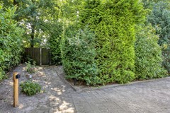 Kievit124785111HDBaarleNassau-48.jpg