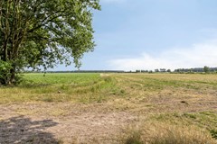 Kievit124785111HDBaarleNassau-50.jpg
