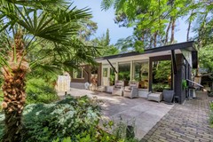 Kievit120985111HDBaarleNassau-01.jpg