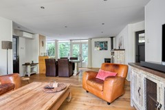 Kievit120985111HDBaarleNassau-10.jpg