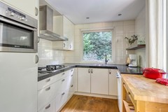 Kievit120985111HDBaarleNassau-13.jpg