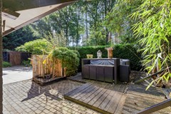 Kievit120985111HDBaarleNassau-27.jpg