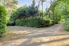 Kievit120985111HDBaarleNassau-02.jpg