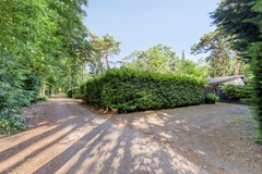 Kievit120985111HDBaarleNassau-03.jpg
