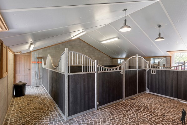 Medium property photo - Desselsedijk 4, 2470 Retie