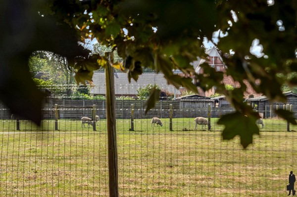 Medium property photo - Koning Albertstraat 181, 2381 Ravels
