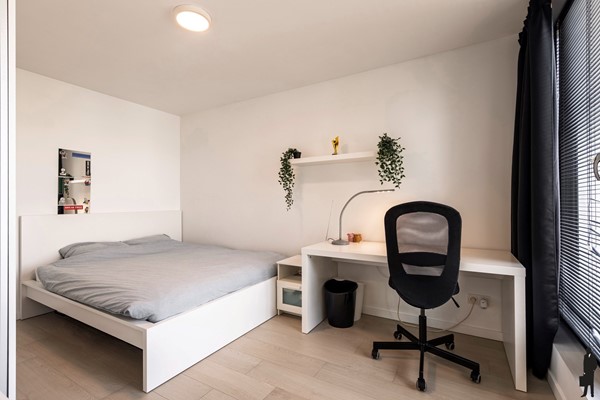 Medium property photo - De Hoogt 35, 2360 Oud-Turnhout