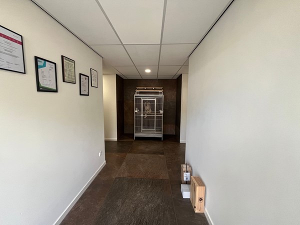 Medium property photo - Kreitenmolenstraat 166A, 5071 BK Udenhout