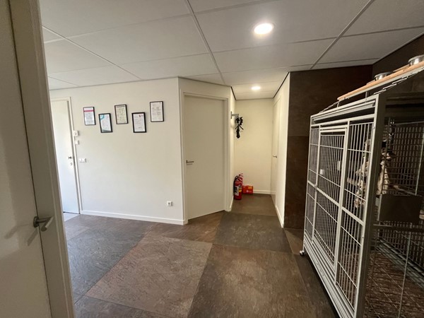 Medium property photo - Kreitenmolenstraat 166A, 5071 BK Udenhout