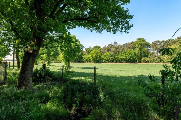 Medium property photo - Geenend 40, 2470 Retie