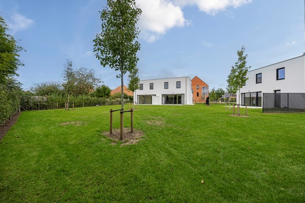 Medium property photo - Sijsjesstraat 1, 2400 Mol