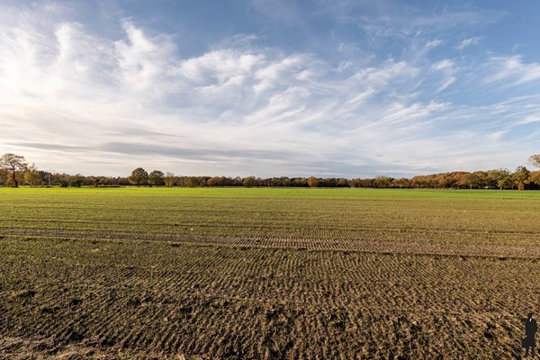 Medium property photo - Leiseinde 40, 2300 Turnhout