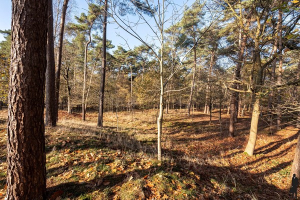 Medium property photo - Wenen 6, 2470 Retie