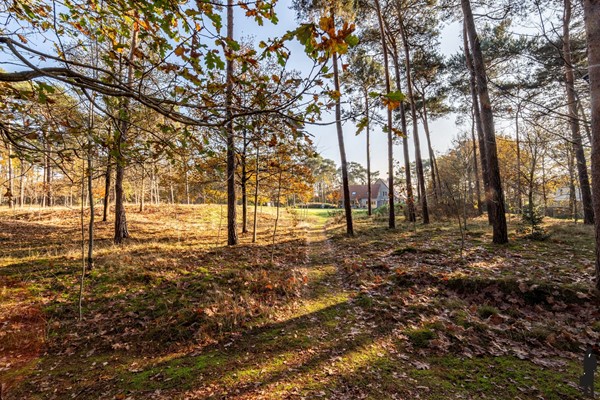 Medium property photo - Wenen 6, 2470 Retie