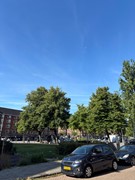 Rented: Olympiaplein 77-2, 1077 CR Amsterdam