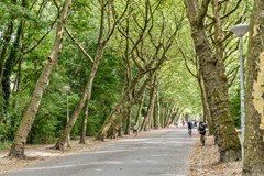 Valeriusstraat 250-3 - 39.jpg