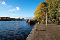 For rent: Gijsbrecht van Aemstelstraat 23H, 1091TB Amsterdam