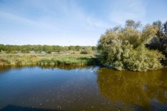 Osdorperweg 910 A-08.JPG