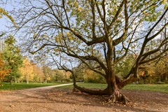 For sale: Tweede Sweelinckstraat 5C, 1073 EG Amsterdam