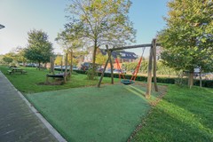 DSC03212.jpg