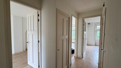 IMG_2276.jpeg