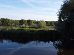 For rent: Osdorperweg 910A, 1067 TD Amsterdam