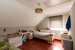 08642046_15.jpg