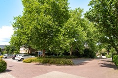 08665627_31.jpg