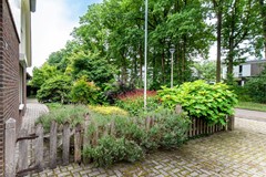 08694612_39.jpg