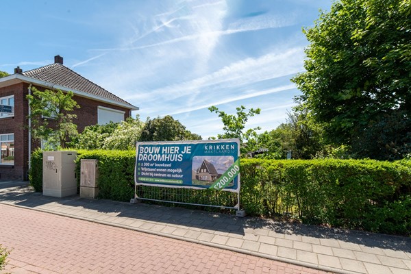 08879465_3.jpg