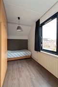 08890741_25.jpg