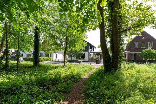 08966939_49.jpg