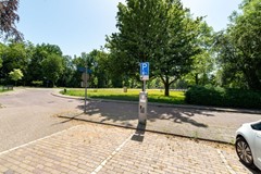 08967260_26.jpg