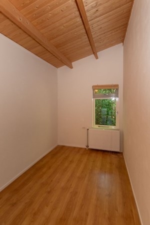 08995795_24.jpg