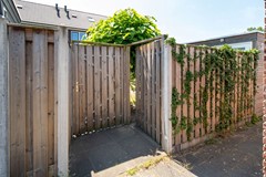 09009258_40.jpg