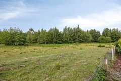 Bijsterveldenlaan4035045zrTilburgNL-54.jpg