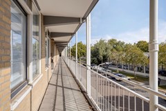VanMaarseveenstraat315042PJTilburgNL-08.jpg